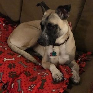 Meet your Posher, Sandra